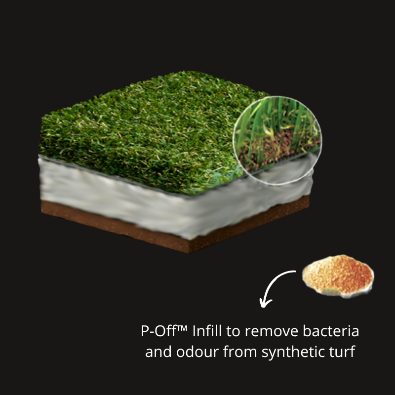 Odour Control Remove Pet Urine Smell from Artificial Grass